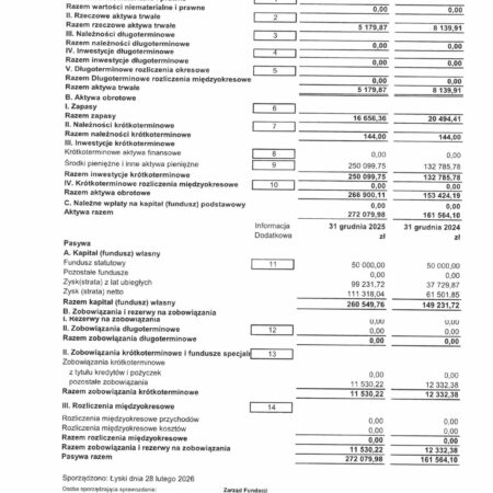Spr finan za 2025 r obrazy 7