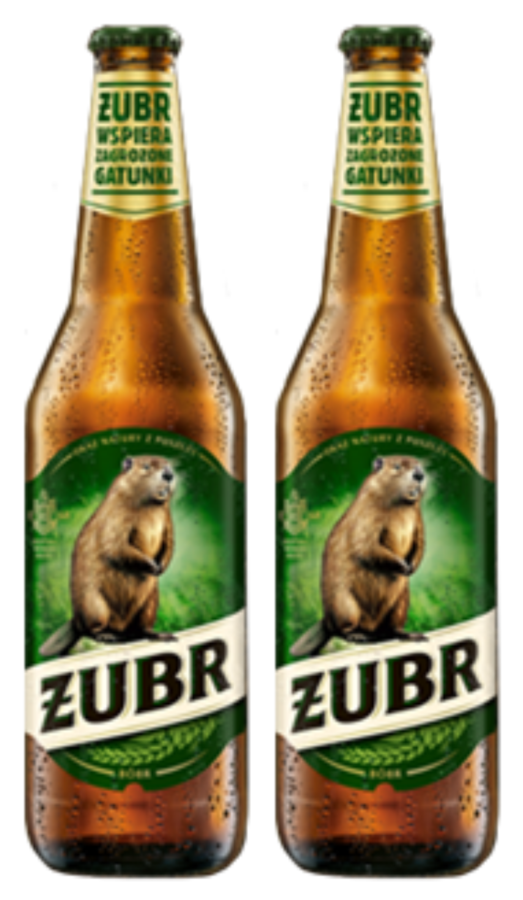 Piwo Żubr