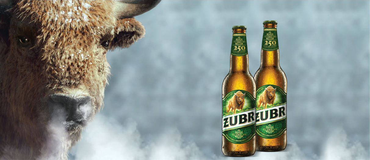 Piwo Żubr