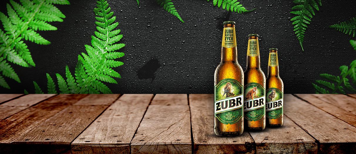Piwo Żubr