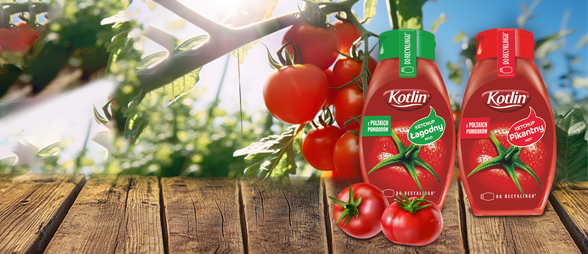 Ketchup Kotlin