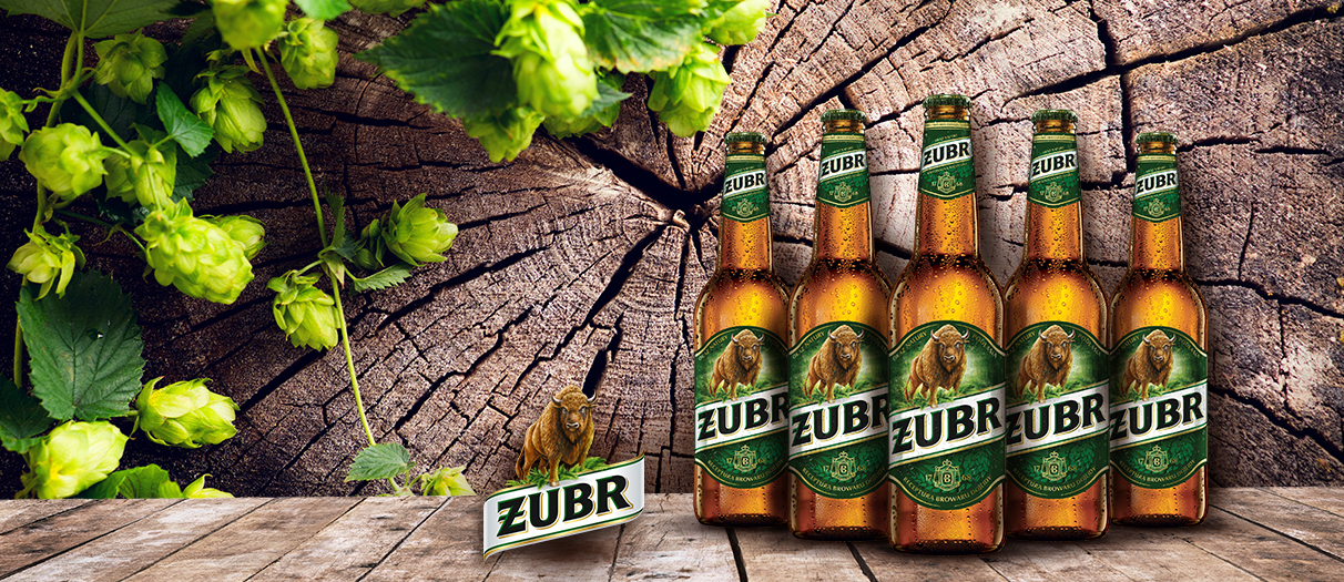 Piwo Żubr
