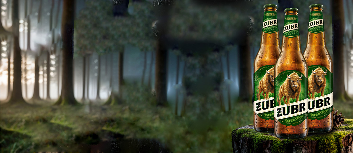 Piwo Żubr