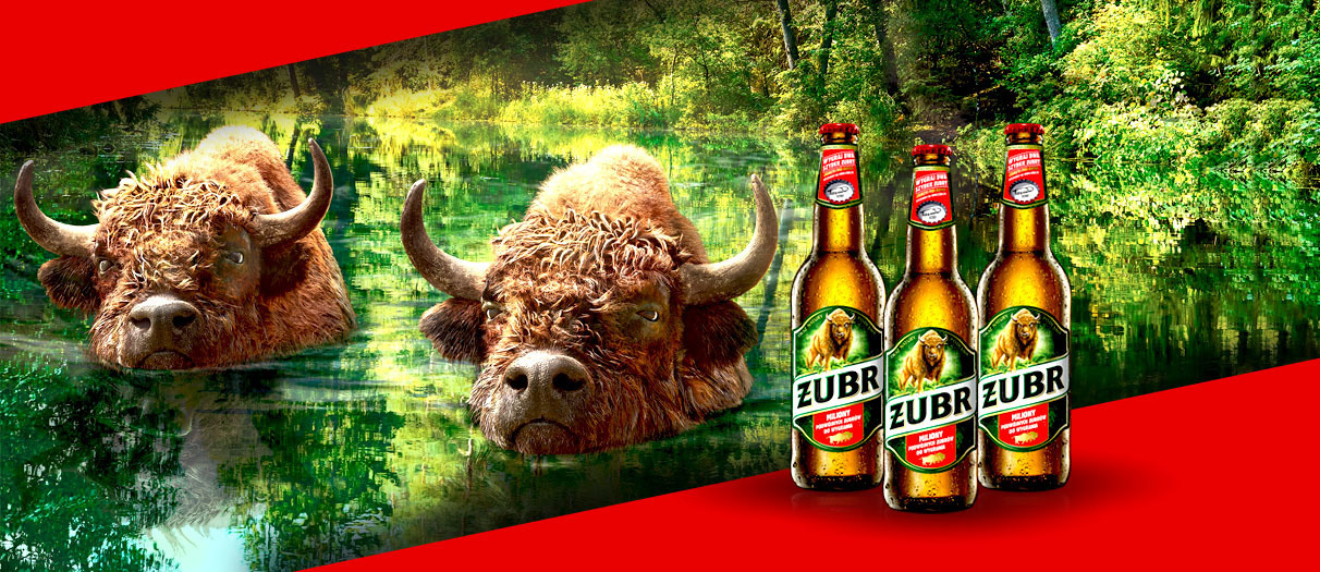Piwo Żubr