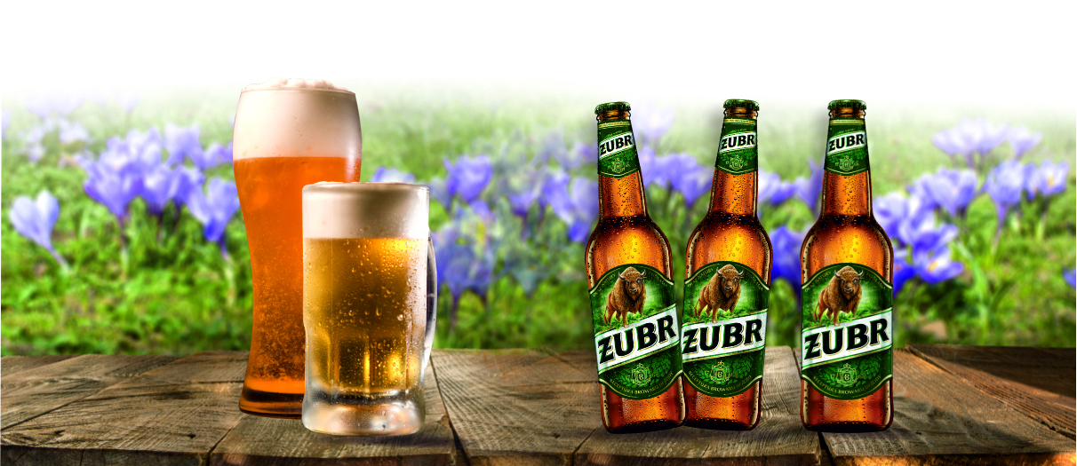 żubr