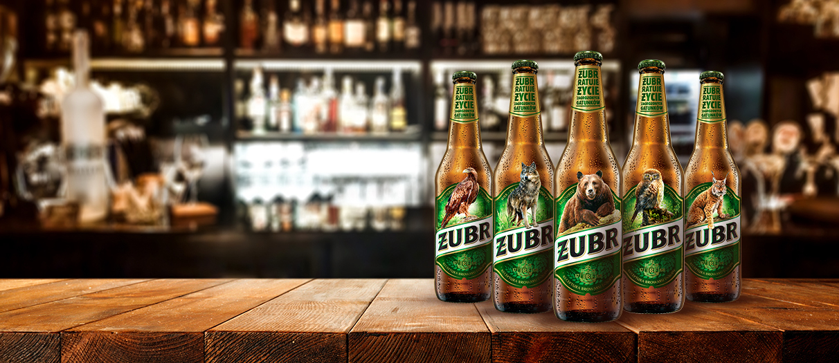 Piwo Żubr